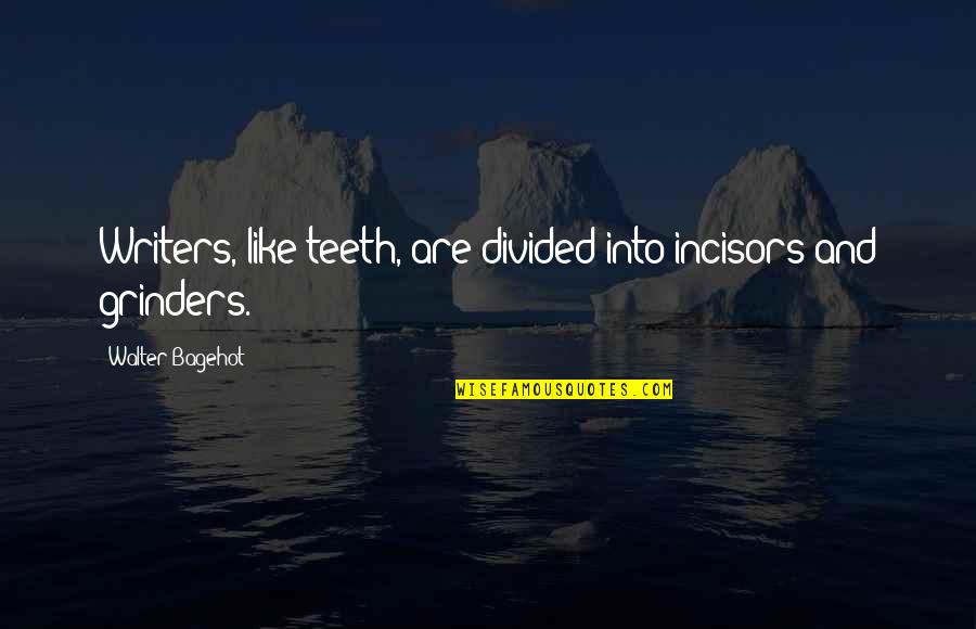 Incisors Teeth Quotes By Walter Bagehot: Writers, like teeth, are divided into incisors and
