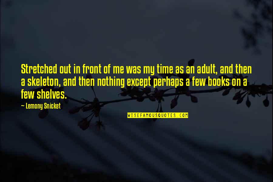 Incitar Quotes By Lemony Snicket: Stretched out in front of me was my