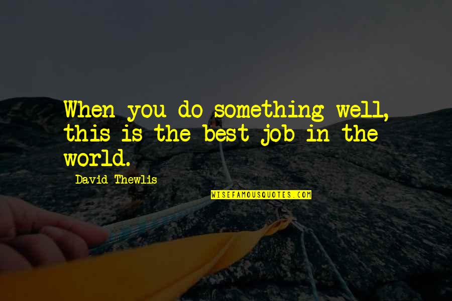 Incognitas Terror Quotes By David Thewlis: When you do something well, this is the