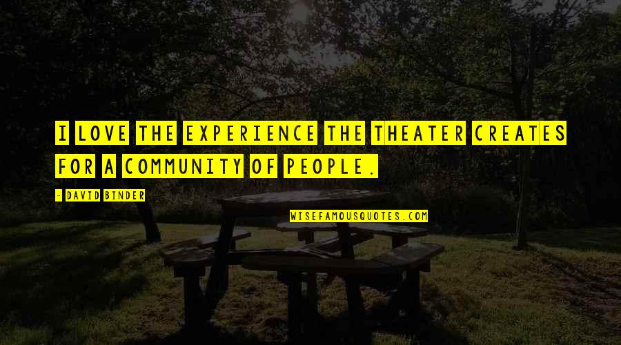 Incognoscible Definicion Quotes By David Binder: I love the experience the theater creates for