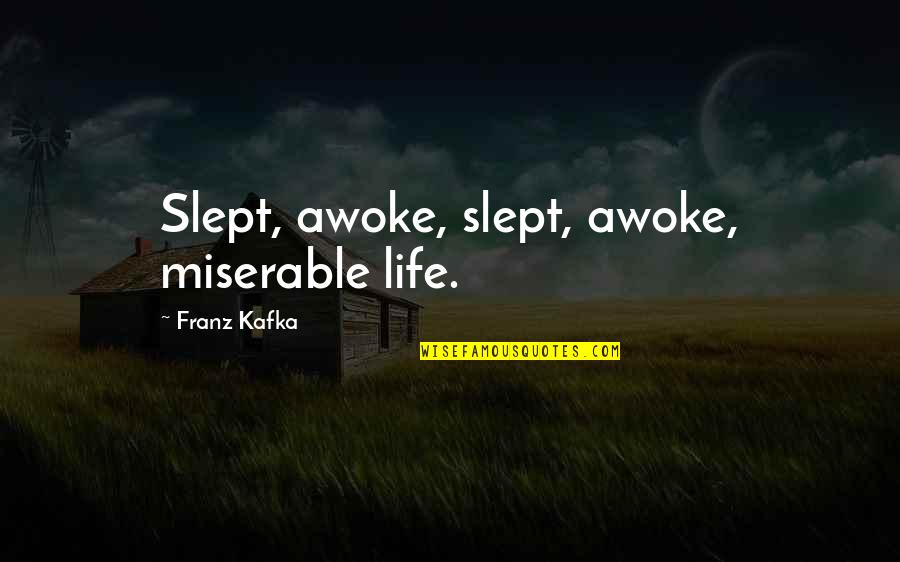 Income Protection Quotes By Franz Kafka: Slept, awoke, slept, awoke, miserable life.