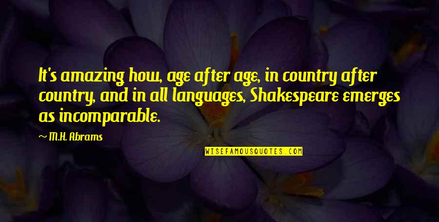 Incomparable Quotes By M.H. Abrams: It's amazing how, age after age, in country