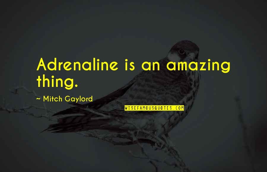 Incomprehensibleness Quotes By Mitch Gaylord: Adrenaline is an amazing thing.