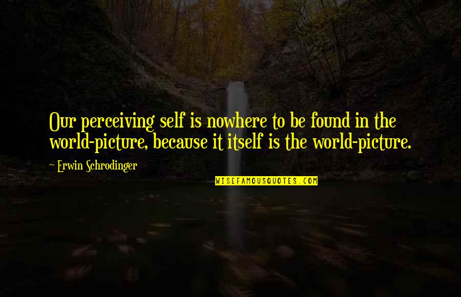 Inconquistable Definicion Quotes By Erwin Schrodinger: Our perceiving self is nowhere to be found