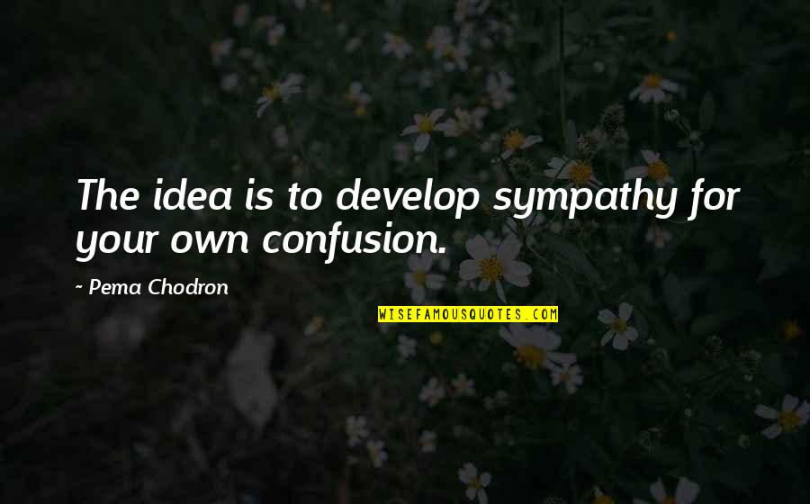 Incontestable Proof Quotes By Pema Chodron: The idea is to develop sympathy for your