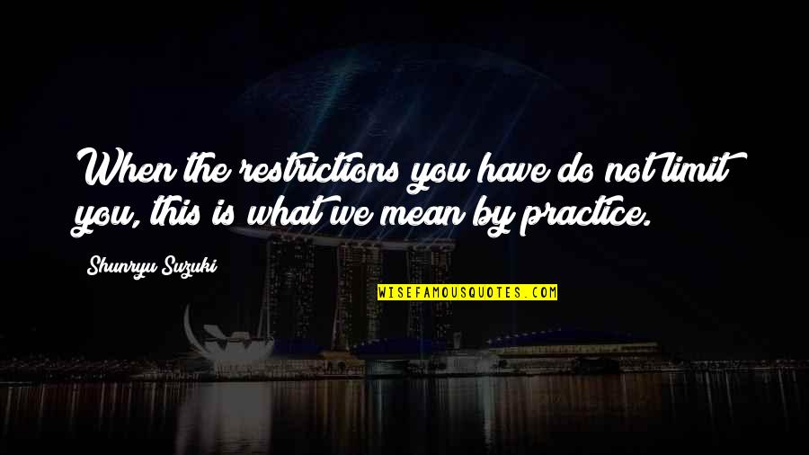 Incontinent Dog Quotes By Shunryu Suzuki: When the restrictions you have do not limit
