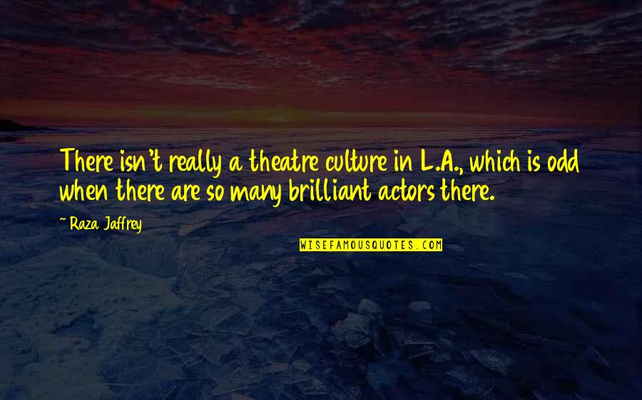 Inconvenience Adventure Quotes By Raza Jaffrey: There isn't really a theatre culture in L.A.,