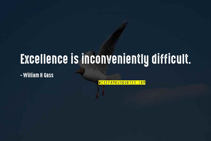Inconvenience Quotes By William H Gass: Excellence is inconveniently difficult.