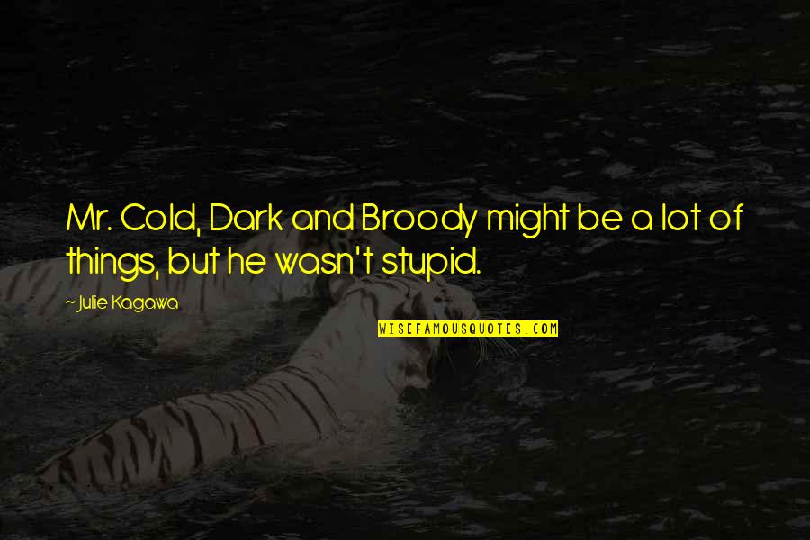 Inconverso Definicion Quotes By Julie Kagawa: Mr. Cold, Dark and Broody might be a