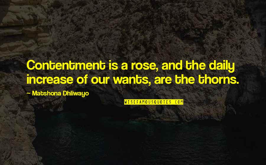 Increase Quotes By Matshona Dhliwayo: Contentment is a rose, and the daily increase