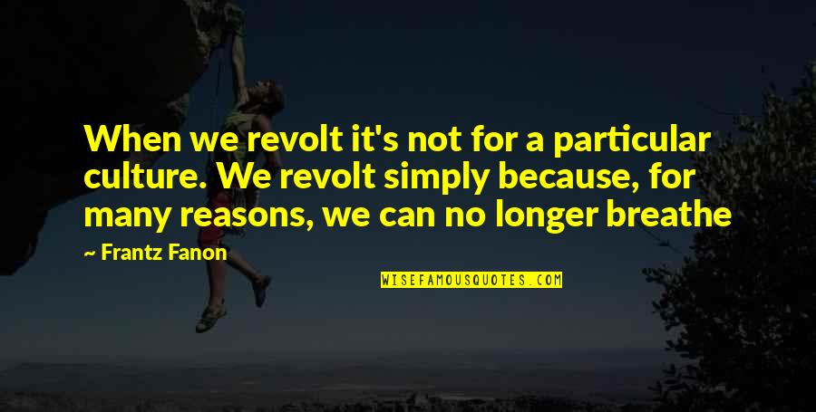 Incredibly Romantic Quotes By Frantz Fanon: When we revolt it's not for a particular