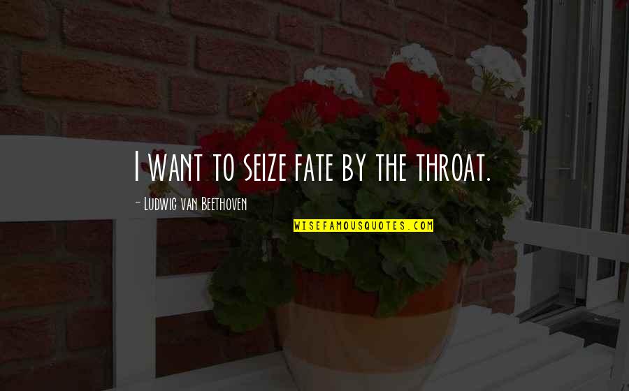 Incriveis Trilha Quotes By Ludwig Van Beethoven: I want to seize fate by the throat.