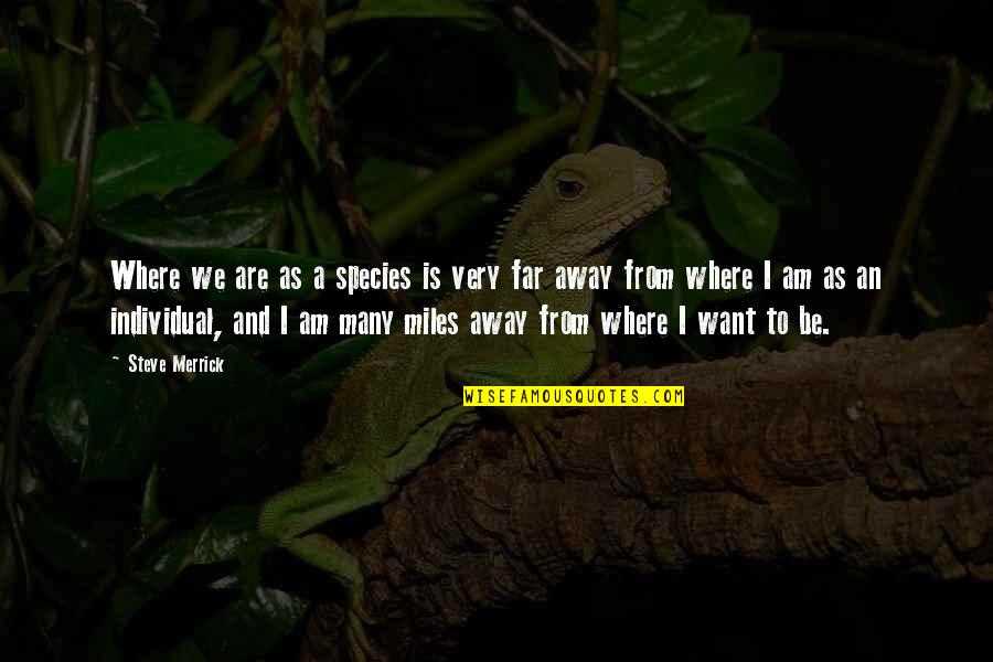 Incriveis Trilha Quotes By Steve Merrick: Where we are as a species is very