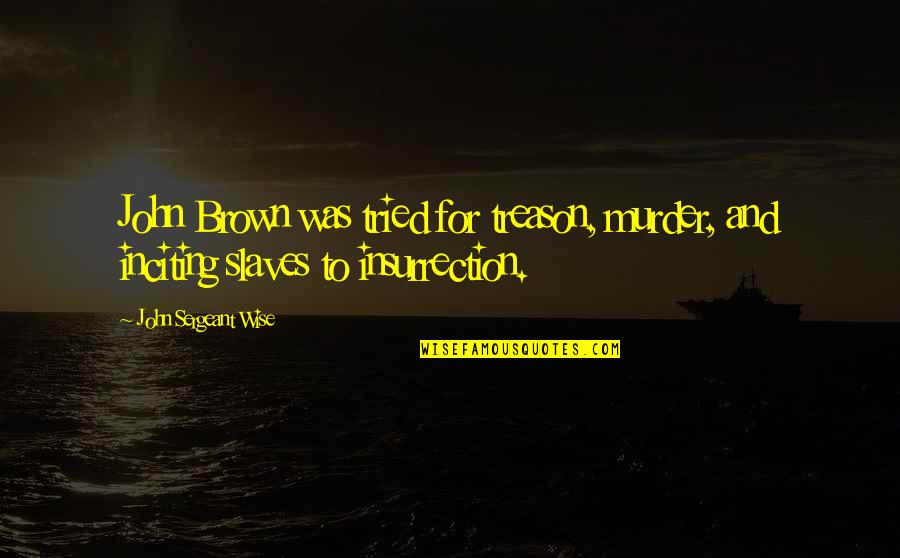 Incroci Ravvicinati Quotes By John Sergeant Wise: John Brown was tried for treason, murder, and