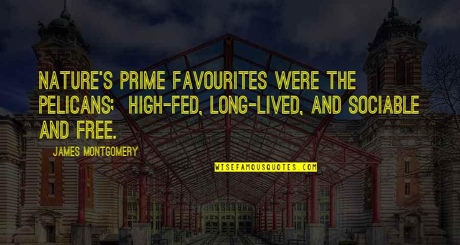 Incrowd Watertown Quotes By James Montgomery: Nature's prime favourites were the Pelicans; High-fed, long-lived, Incrowd Watertown Quotes By James Montgomery: Nature's prime favourites were the Pelicans; High-fed, long-lived,