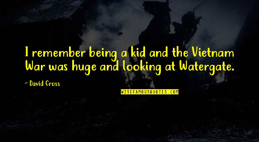 Incrustation Fond Quotes By David Cross: I remember being a kid and the Vietnam