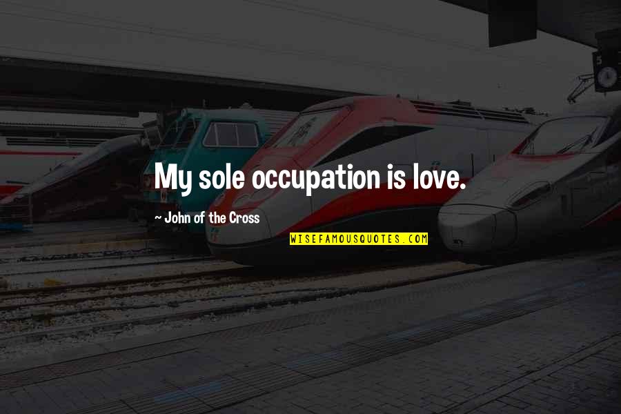 Incubism Quotes By John Of The Cross: My sole occupation is love.