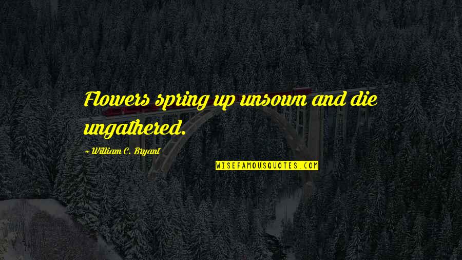 Incubism Quotes By William C. Bryant: Flowers spring up unsown and die ungathered.