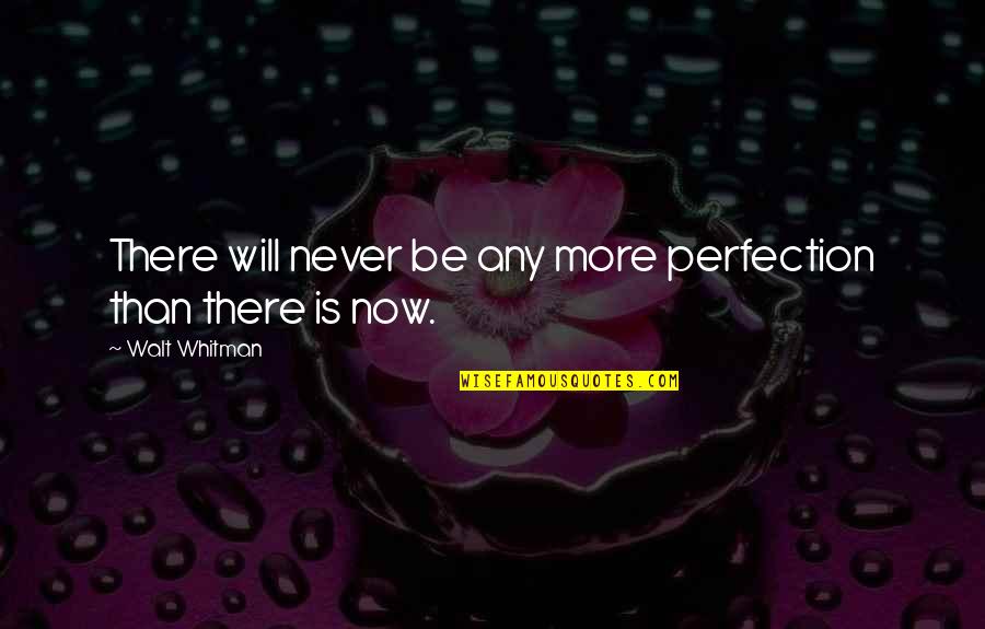 Inculcate Synonym Quotes By Walt Whitman: There will never be any more perfection than Inculcate Synonym Quotes By Walt Whitman: There will never be any more perfection than