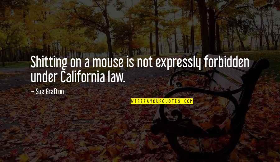 Incurring Quotes By Sue Grafton: Shitting on a mouse is not expressly forbidden