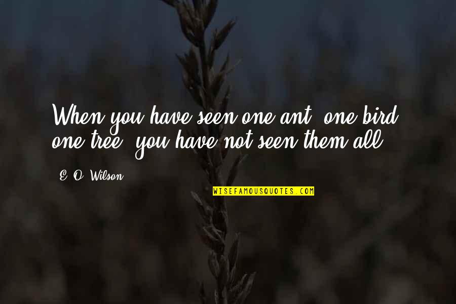 Ind Vs Sa Quotes By E. O. Wilson: When you have seen one ant, one bird,