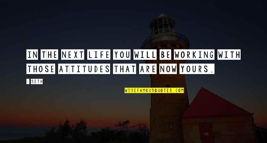 Indagato Significato Quotes By Seth: In the next life you will be working