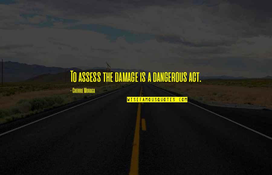 Indark Quotes By Cherrie Moraga: To assess the damage is a dangerous act.