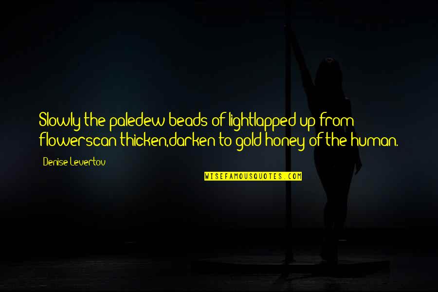 Inday Badiday Quotes By Denise Levertov: Slowly the paledew-beads of lightlapped up from flowerscan Inday Badiday Quotes By Denise Levertov: Slowly the paledew-beads of lightlapped up from flowerscan