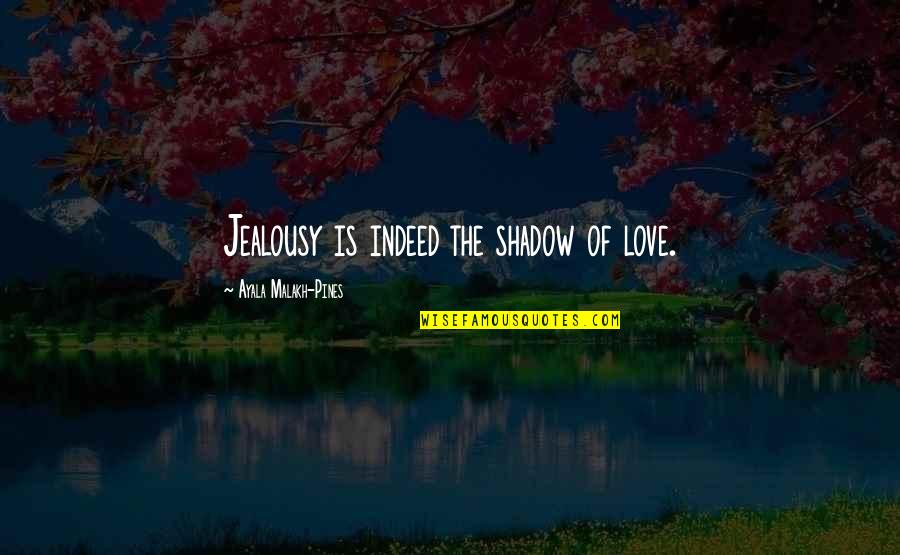 Indeed Love Quotes By Ayala Malakh-Pines: Jealousy is indeed the shadow of love.