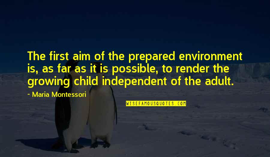 Independent Children Quotes By Maria Montessori: The first aim of the prepared environment is,