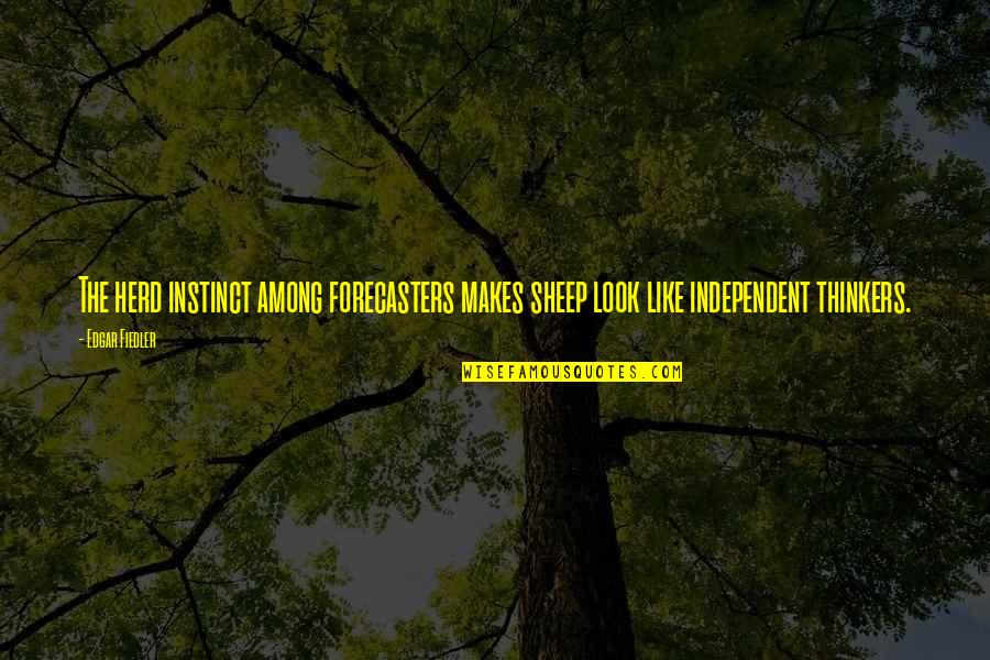 Independent Thinkers Quotes By Edgar Fiedler: The herd instinct among forecasters makes sheep look