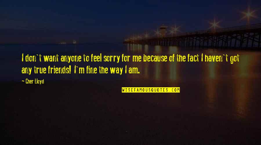 Inderjeet Sandhu Quotes By Cher Lloyd: I don't want anyone to feel sorry for Inderjeet Sandhu Quotes By Cher Lloyd: I don't want anyone to feel sorry for