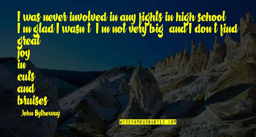 Indescifrable Definicion Quotes By John Bytheway: I was never involved in any fights in Indescifrable Definicion Quotes By John Bytheway: I was never involved in any fights in