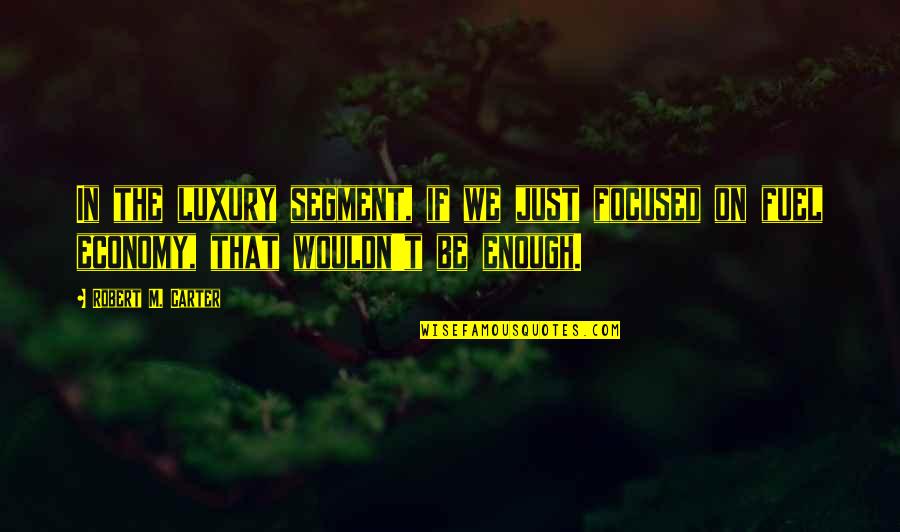 Indescribable Feelings Quotes By Robert M. Carter: In the luxury segment, if we just focused