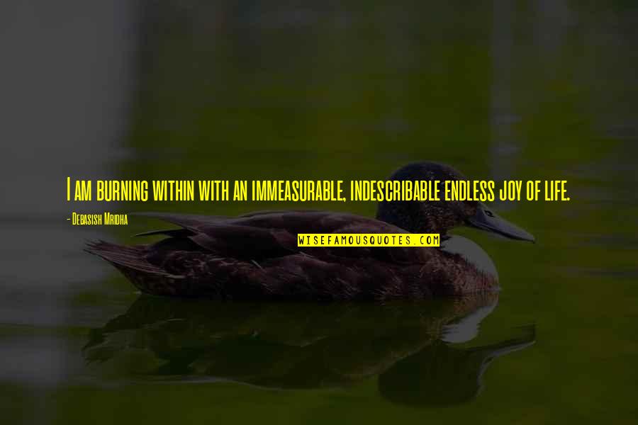 Indescribable Joy Quotes By Debasish Mridha: I am burning within with an immeasurable, indescribable