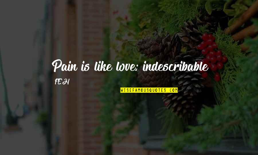 Indescribable Pain Quotes By FEH: Pain is like love; indescribable