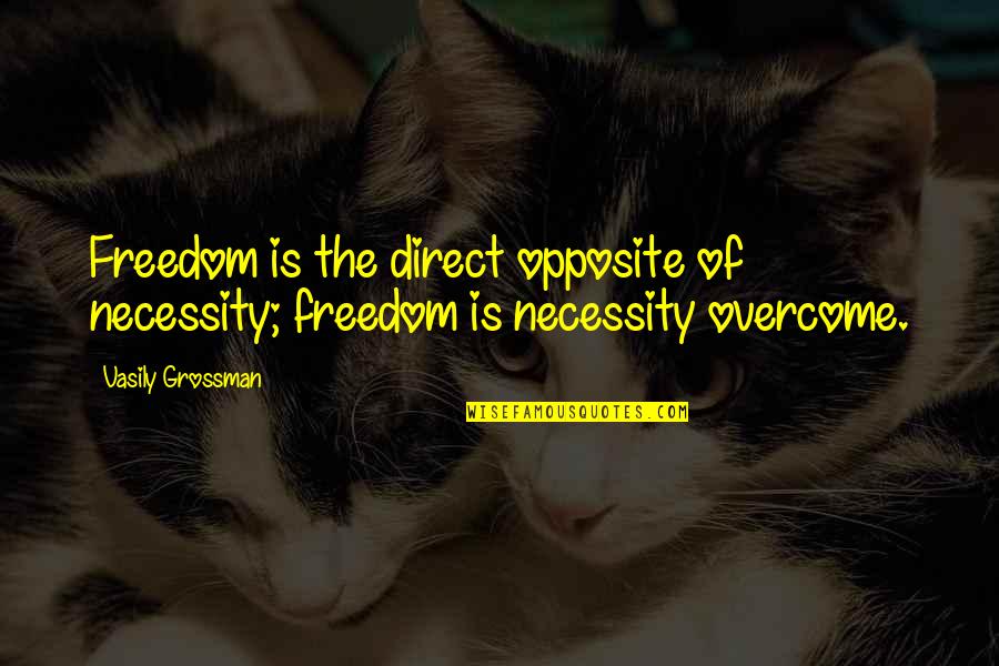 Indetectably Quotes By Vasily Grossman: Freedom is the direct opposite of necessity; freedom