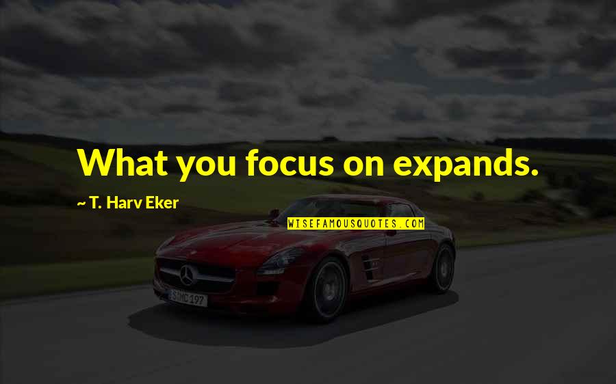 Indeterminacion En Quotes By T. Harv Eker: What you focus on expands.