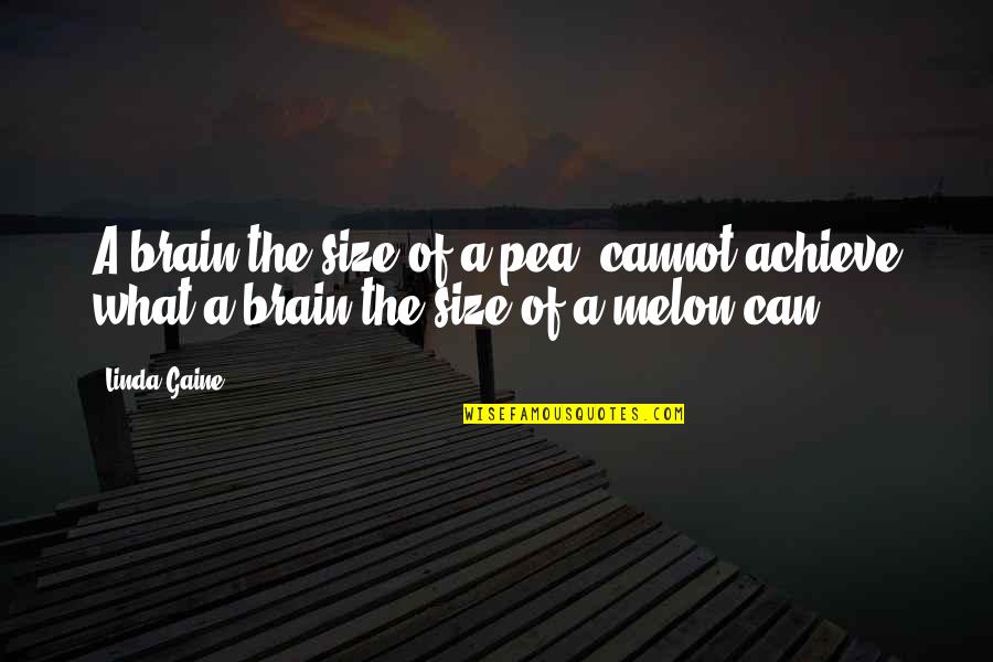 India Wins Match Quotes By Linda Gaine: A brain the size of a pea, cannot
