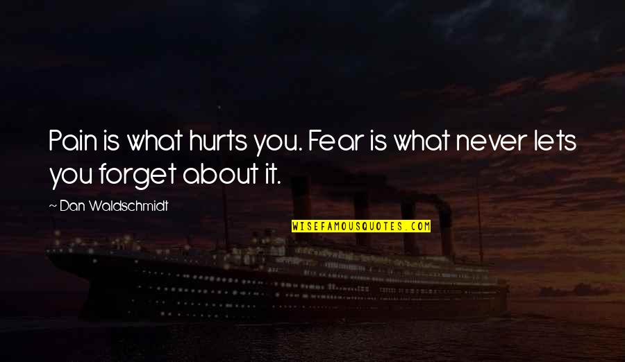 Indian Cultural Quotes By Dan Waldschmidt: Pain is what hurts you. Fear is what