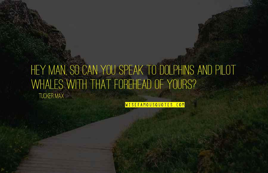 Indian Culture By Mahatma Gandhi Quotes By Tucker Max: Hey man, so can you speak to dolphins