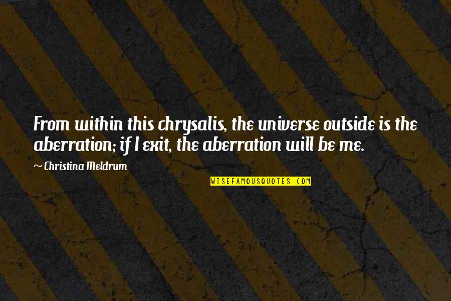 Indian Partition Quotes By Christina Meldrum: From within this chrysalis, the universe outside is