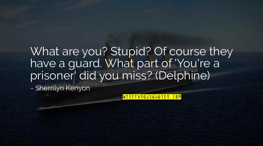 Indian Soldier Love Quotes By Sherrilyn Kenyon: What are you? Stupid? Of course they have