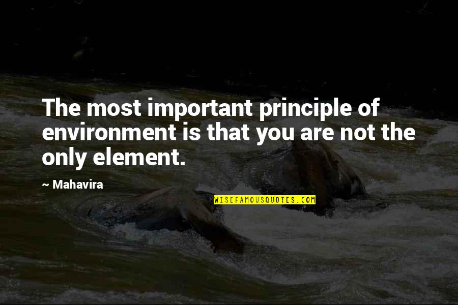 Indiana Jones And The Last Crusade Holy Grail Quotes By Mahavira: The most important principle of environment is that