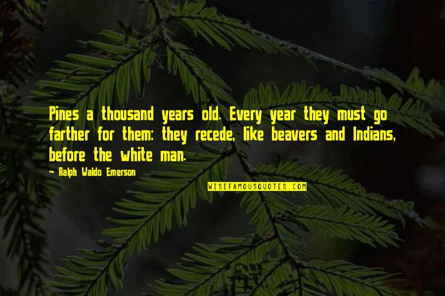 Indians Quotes By Ralph Waldo Emerson: Pines a thousand years old. Every year they