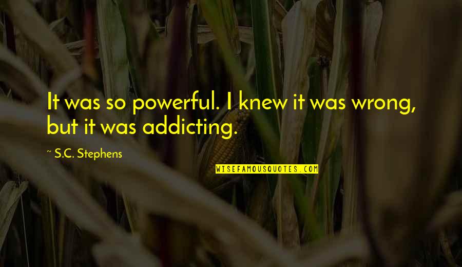Indica Online Tv Quotes By S.C. Stephens: It was so powerful. I knew it was
