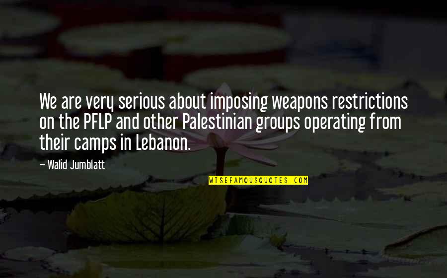 Indicaos Quotes By Walid Jumblatt: We are very serious about imposing weapons restrictions