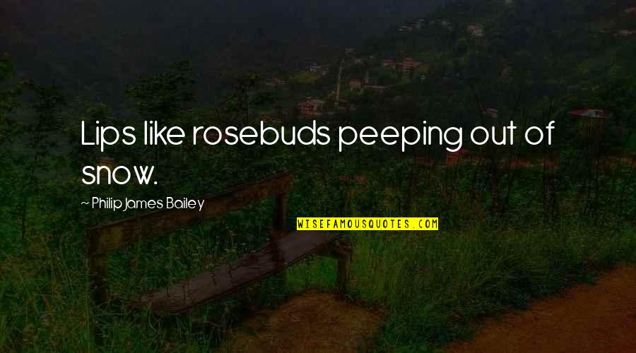 Indicia Pronunciation Quotes By Philip James Bailey: Lips like rosebuds peeping out of snow. Indicia Pronunciation Quotes By Philip James Bailey: Lips like rosebuds peeping out of snow.