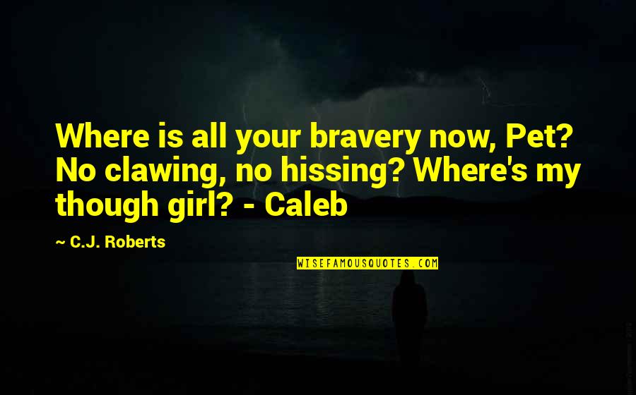 Indie Author News Quotes By C.J. Roberts: Where is all your bravery now, Pet? No Indie Author News Quotes By C.J. Roberts: Where is all your bravery now, Pet? No