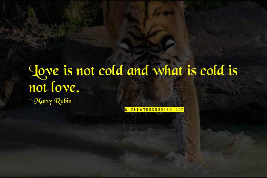 Indifference In Love Quotes By Marty Rubin: Love is not cold and what is cold Indifference In Love Quotes By Marty Rubin: Love is not cold and what is cold